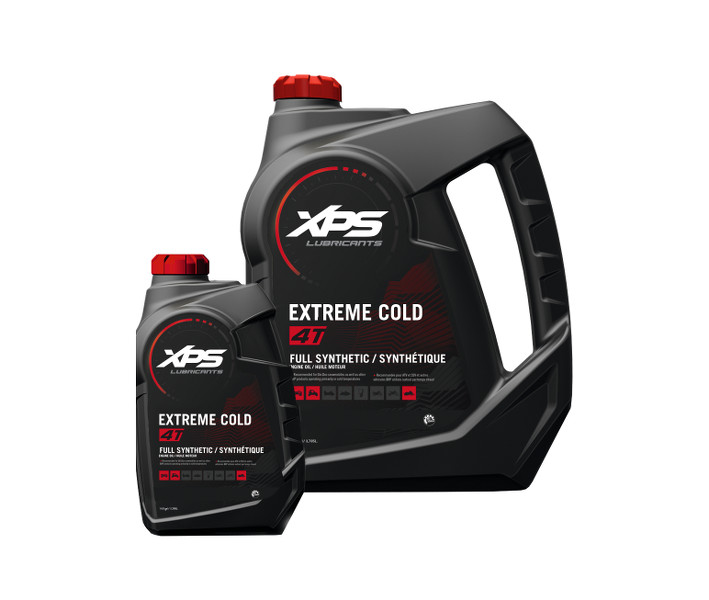 Olio sintetico Rotax Extreme Cold